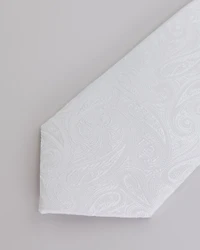 Paisley Black on Regular Tie