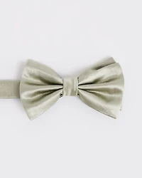 Solid Bow Tie