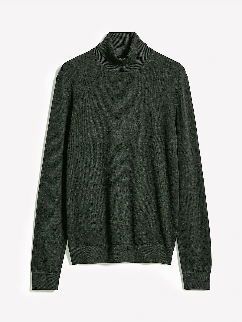 Long-Sleeve Turtleneck Sweater