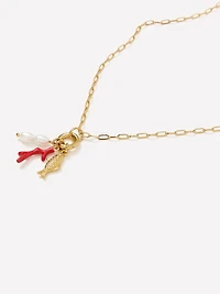 Carabiner Necklace with Charms