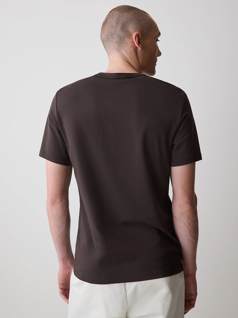 Supima (R) Cotton V-Neck T-Shirt