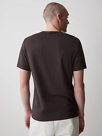 Supima (R) Cotton V-Neck T-Shirt