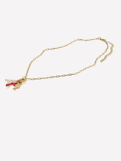 Carabiner Necklace with Charms