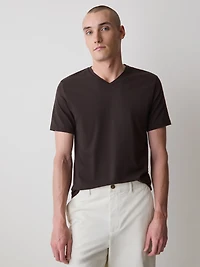 Supima (R) Cotton V-Neck T-Shirt