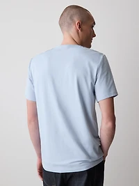 Supima (R) Cotton V-Neck T-Shirt