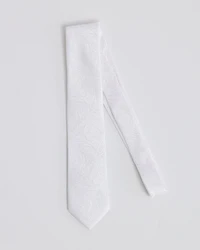 Paisley Black on Regular Tie