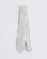 Shiny Solid Tie