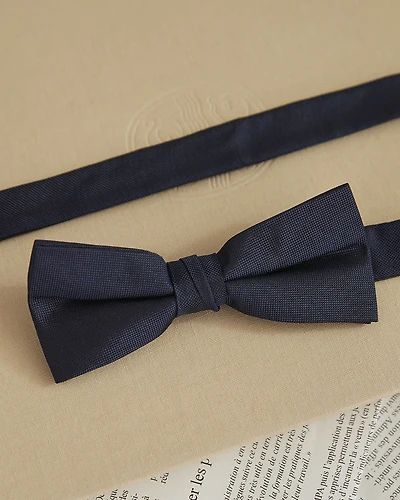 Solid Iridescent Bow Tie