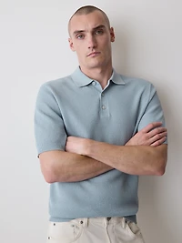 Textured Short-Sleeve Polo Sweater