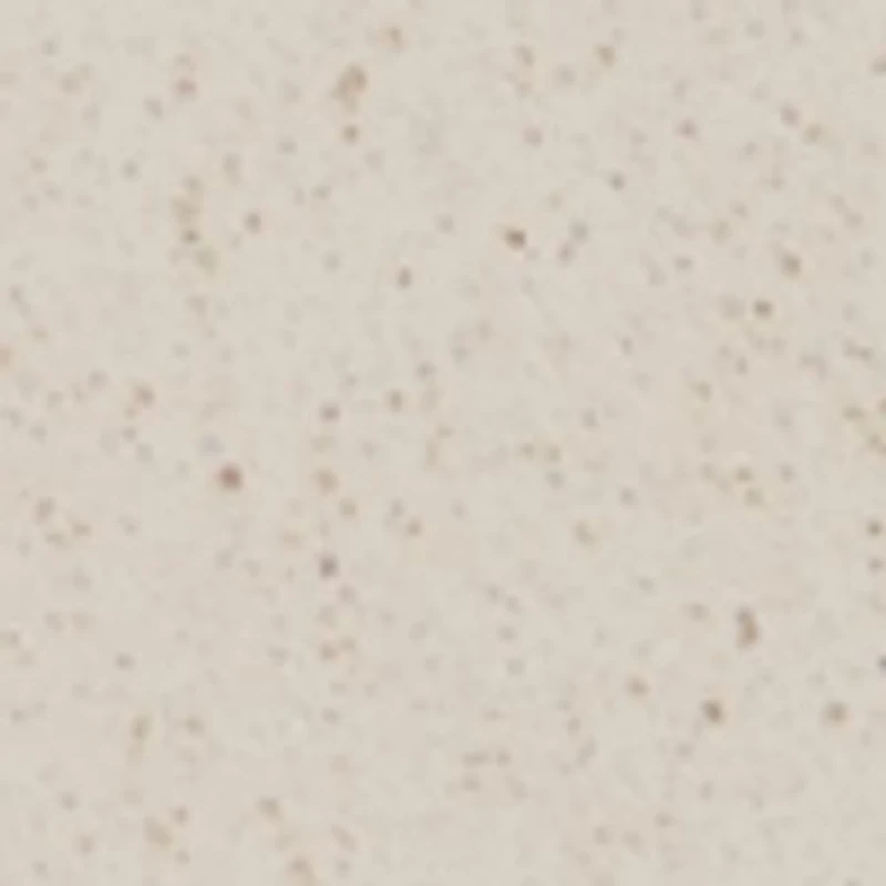 Walter's Men's Vegan Insoles