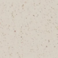 Walter's Men's Vegan Insoles