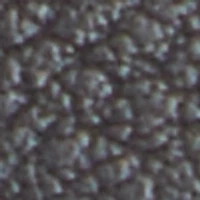 Raia
