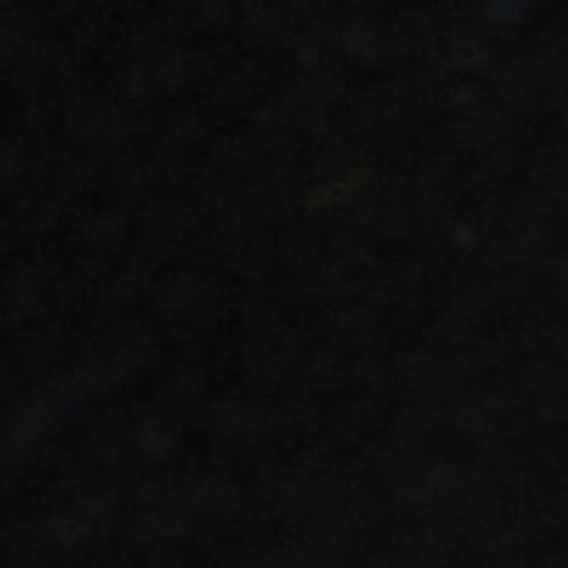 Gaven