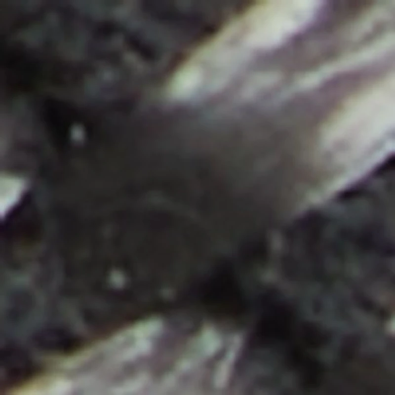 Cabianca