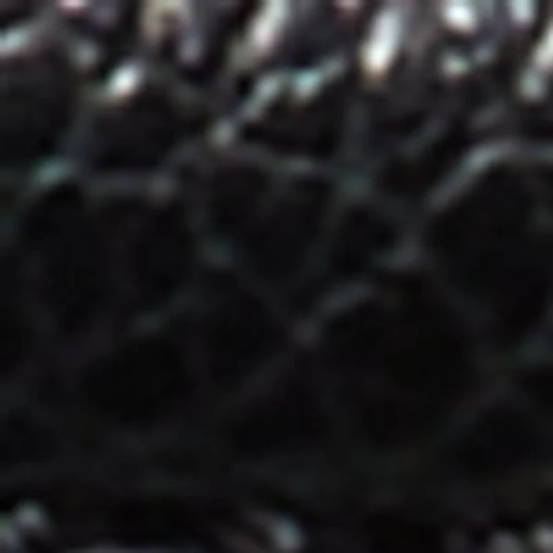 Lexxi