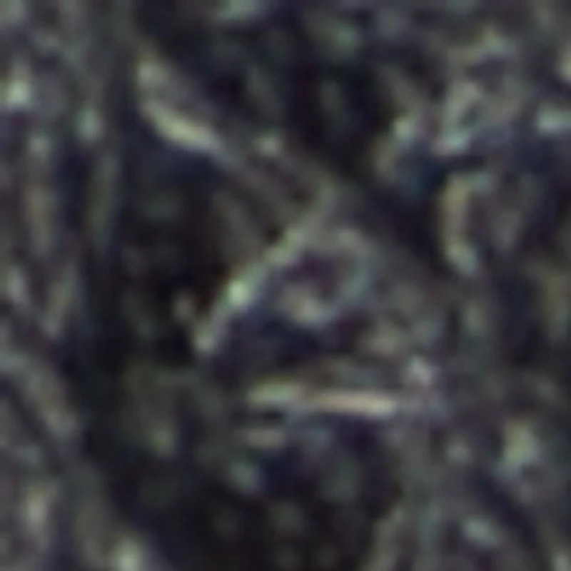 Villanueva