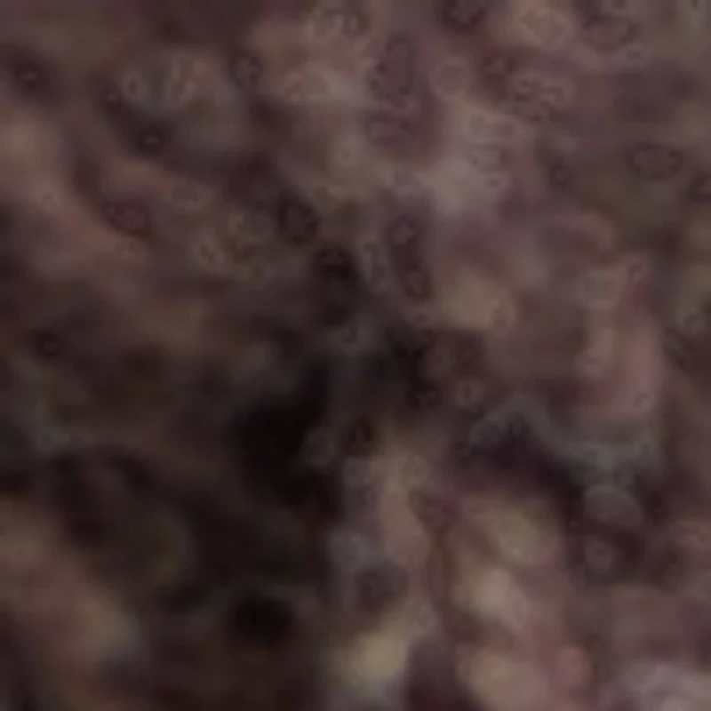 Fernn