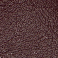 Elyiaa