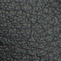Elarah