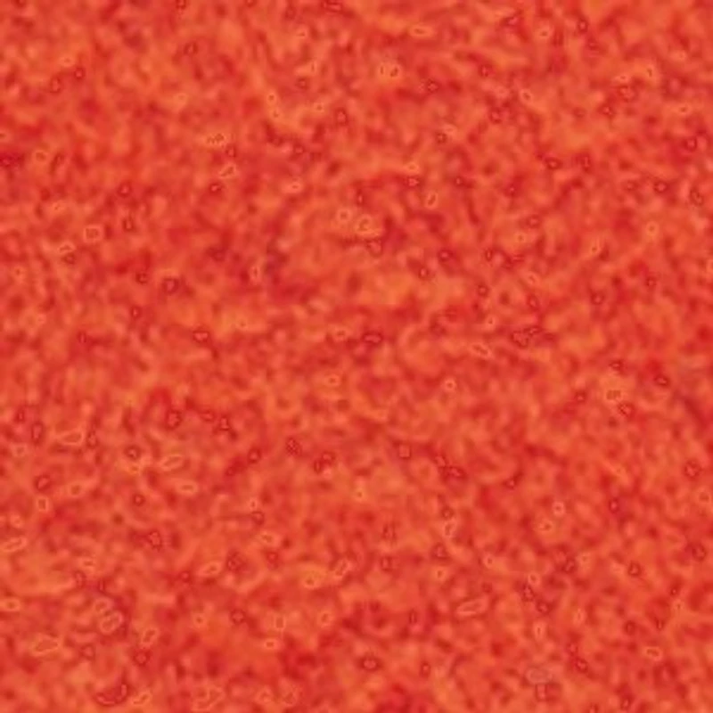 Ellajo