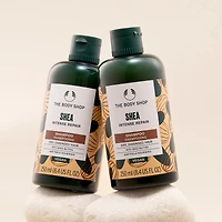 Shea Intense Repair Shampoo