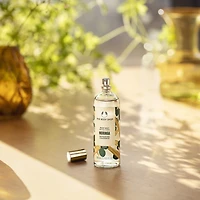 Moringa Body Mist
