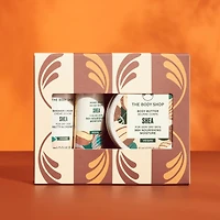 Shea Treats Gift