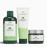 Aloe Daily Regime