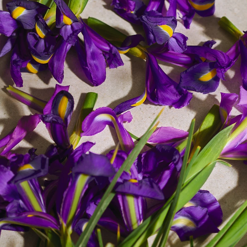Full Iris Eau de Parfum