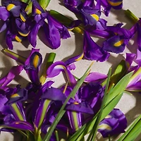 Full Iris Eau de Parfum