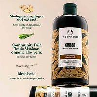 Ginger Scalp Care Shampoo 400ml
