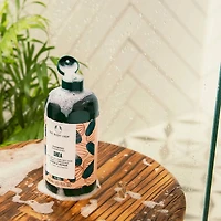 Shea Intense Repair Shampoo