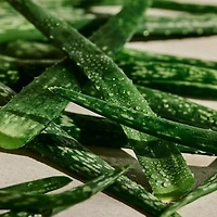 Aloe Multi-use Soothing Face & Body Gel