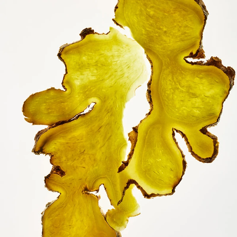 Ginger Hair & Scalp Scrub