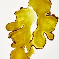 Ginger Hair & Scalp Scrub