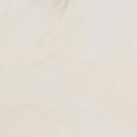 Alyd