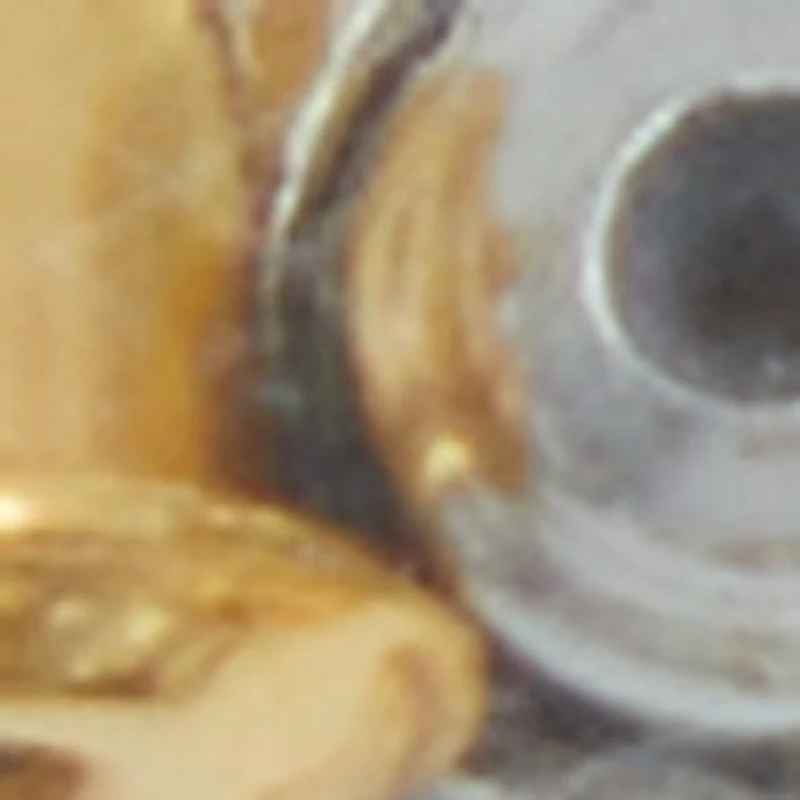 Oloecia