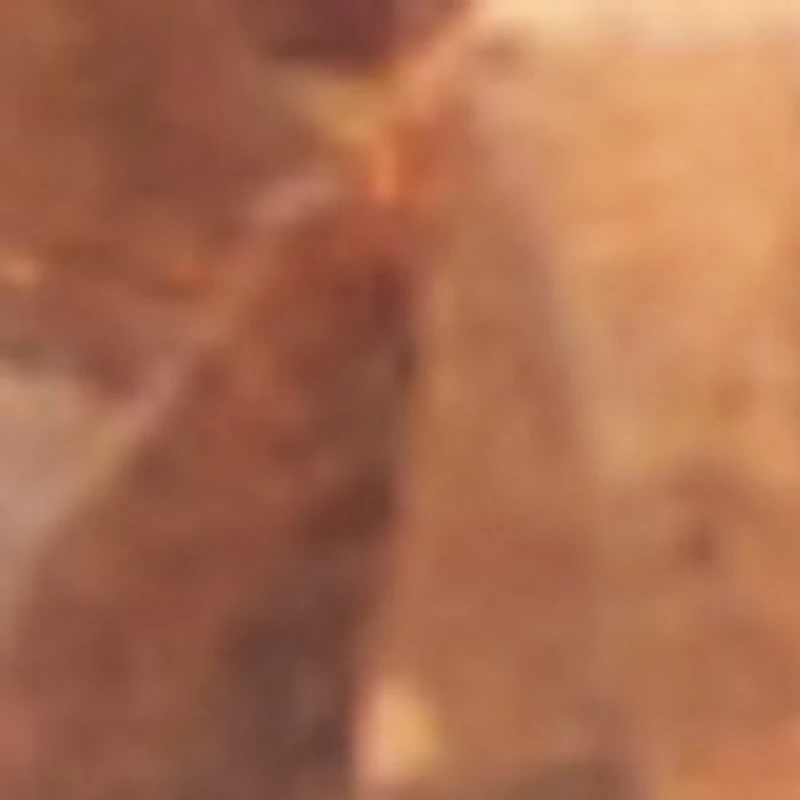 Brocla