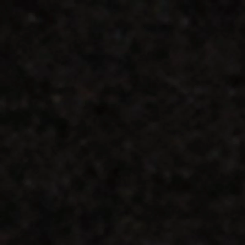 Women's Thermal Insoles