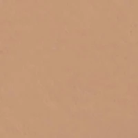 Scintilla
