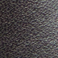 Zappa