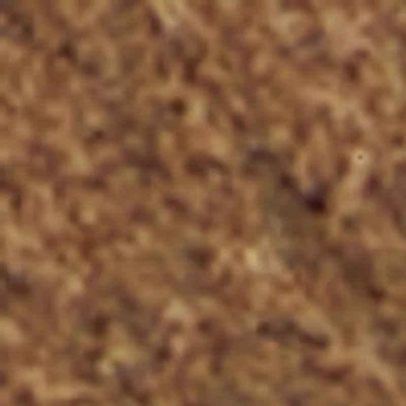 Elio