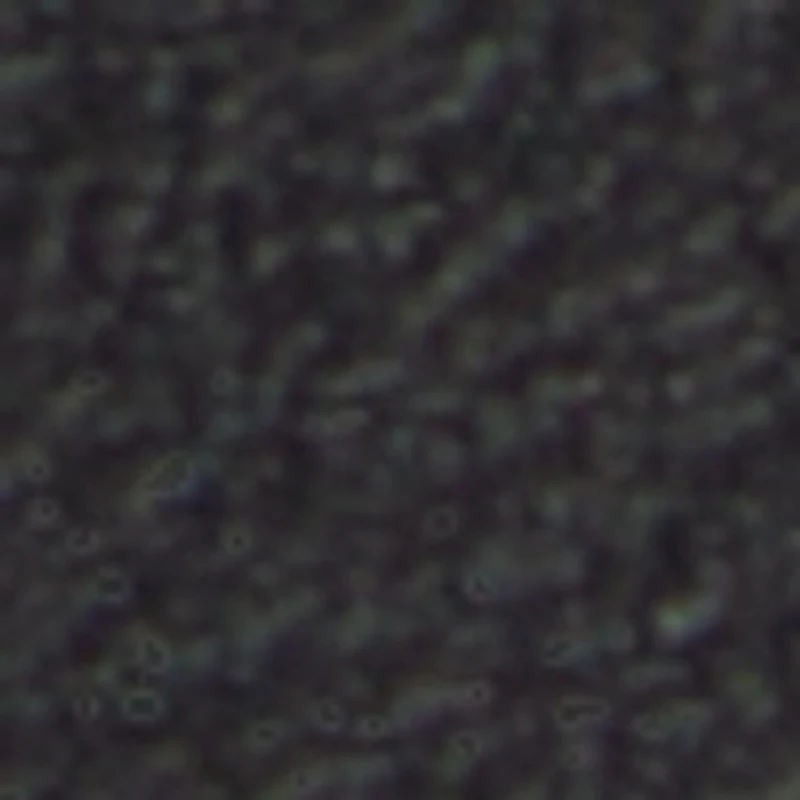 Deniels