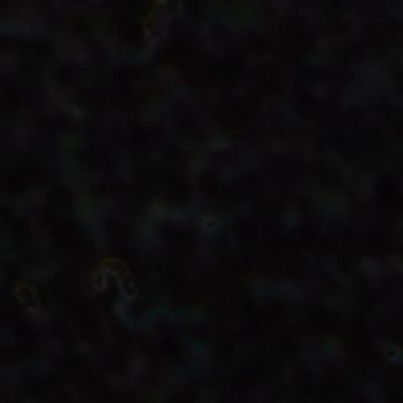 Cityspec