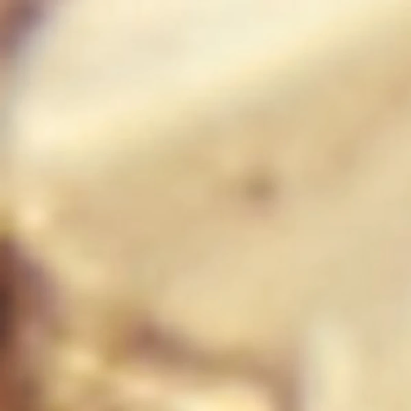Rilara
