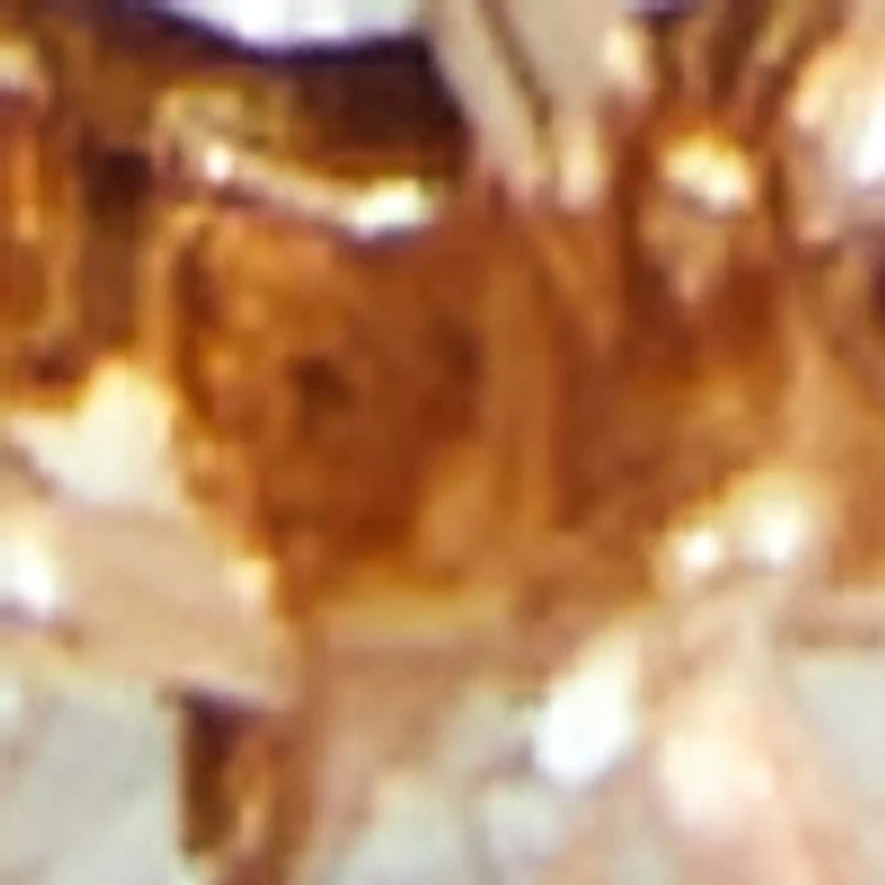 Onigodia