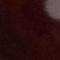 Bissom