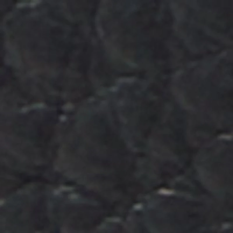 Alastor