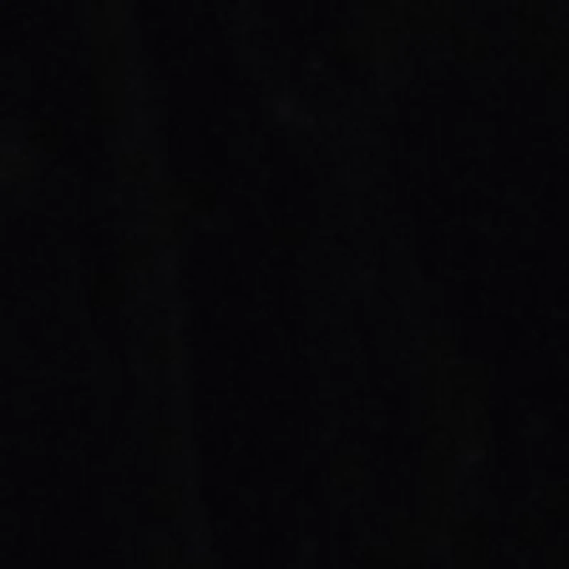 Corrine