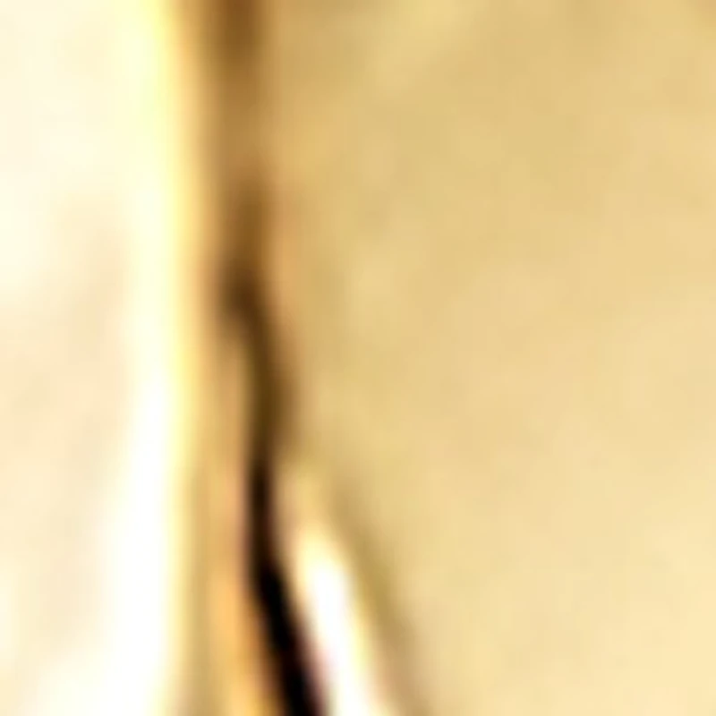 Rhedridus
